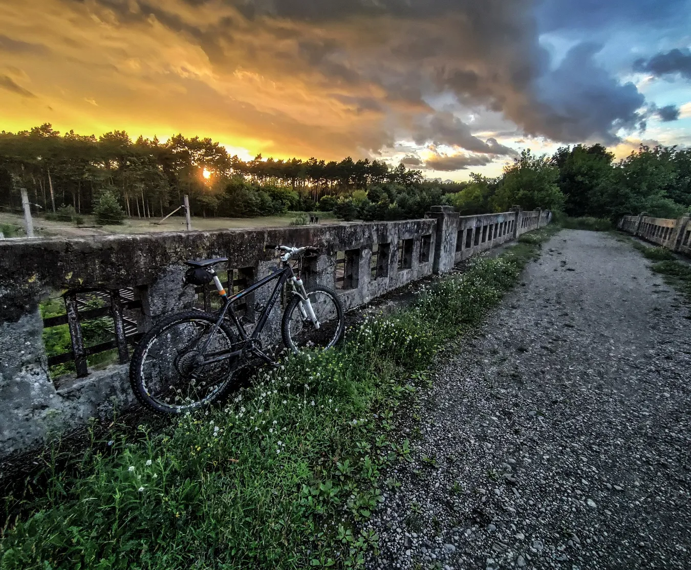 Profesjonalne wykonanie